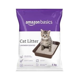 Scoopable White Bentonite Cat Litter | Unscented | 5Kg - Pack of 1